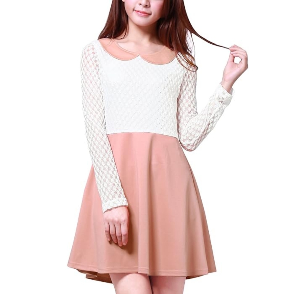 Mesh Long Sleeve Dress